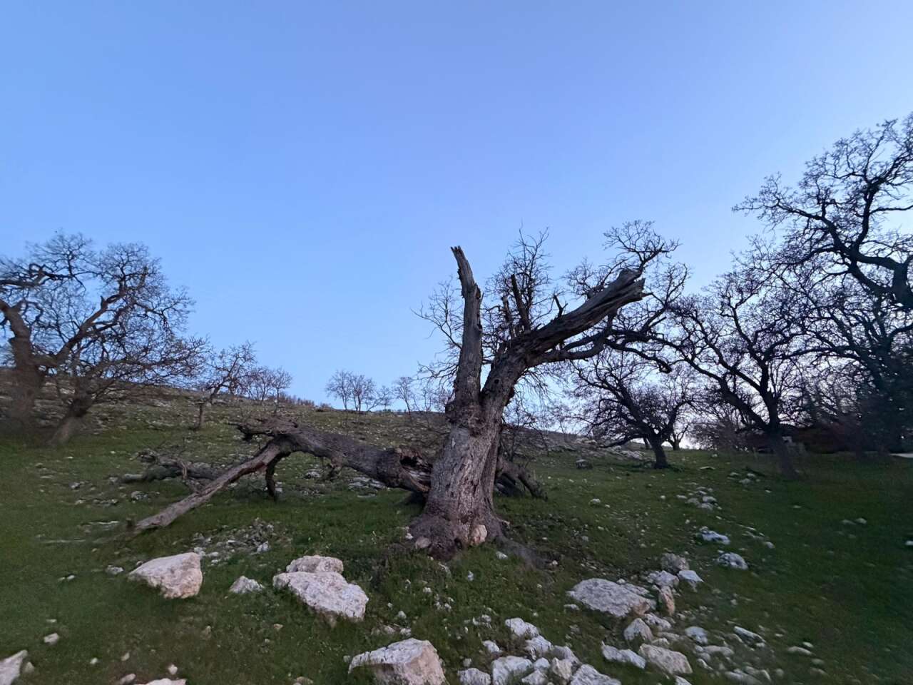 Gülistan Doku soruşturmasında 40 kilometrelik alanda mezar aranıyor 5